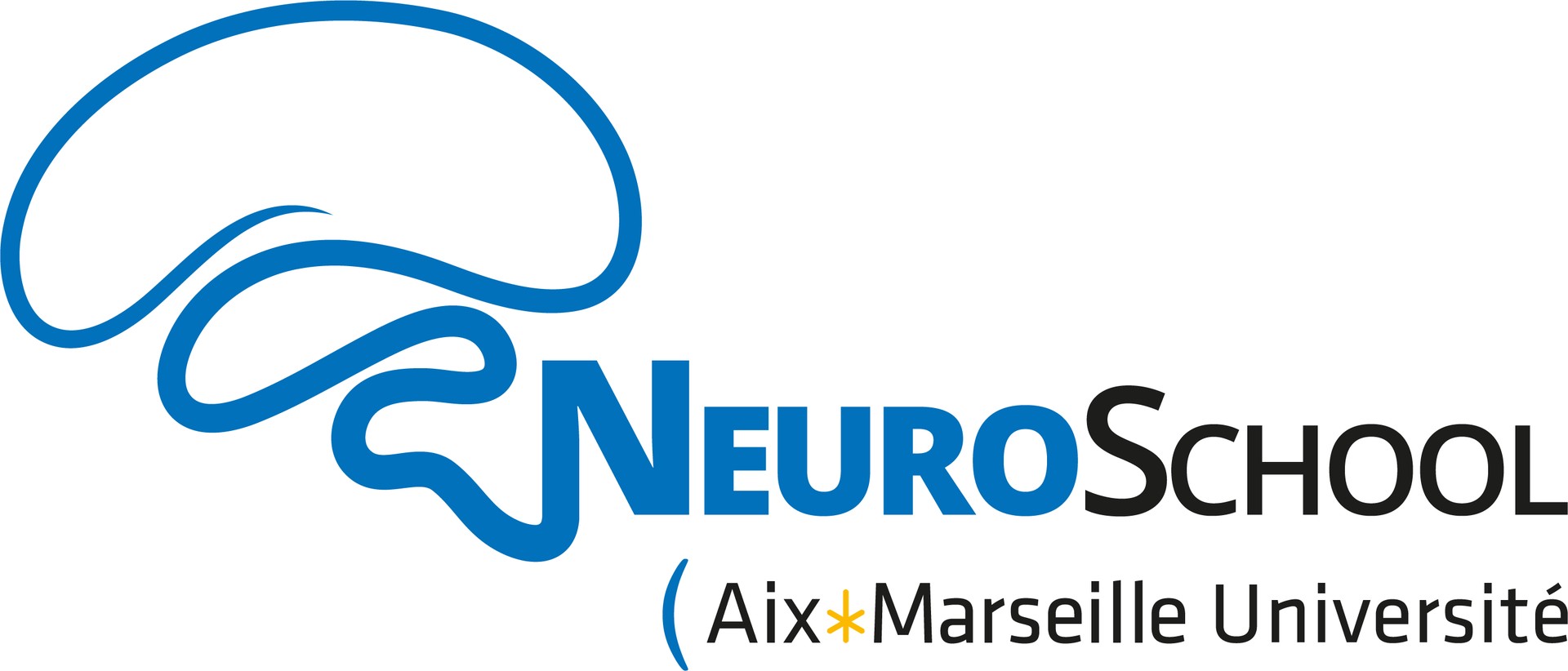 Ecole Universitaire de Recherche (EUR) NeuroSchool